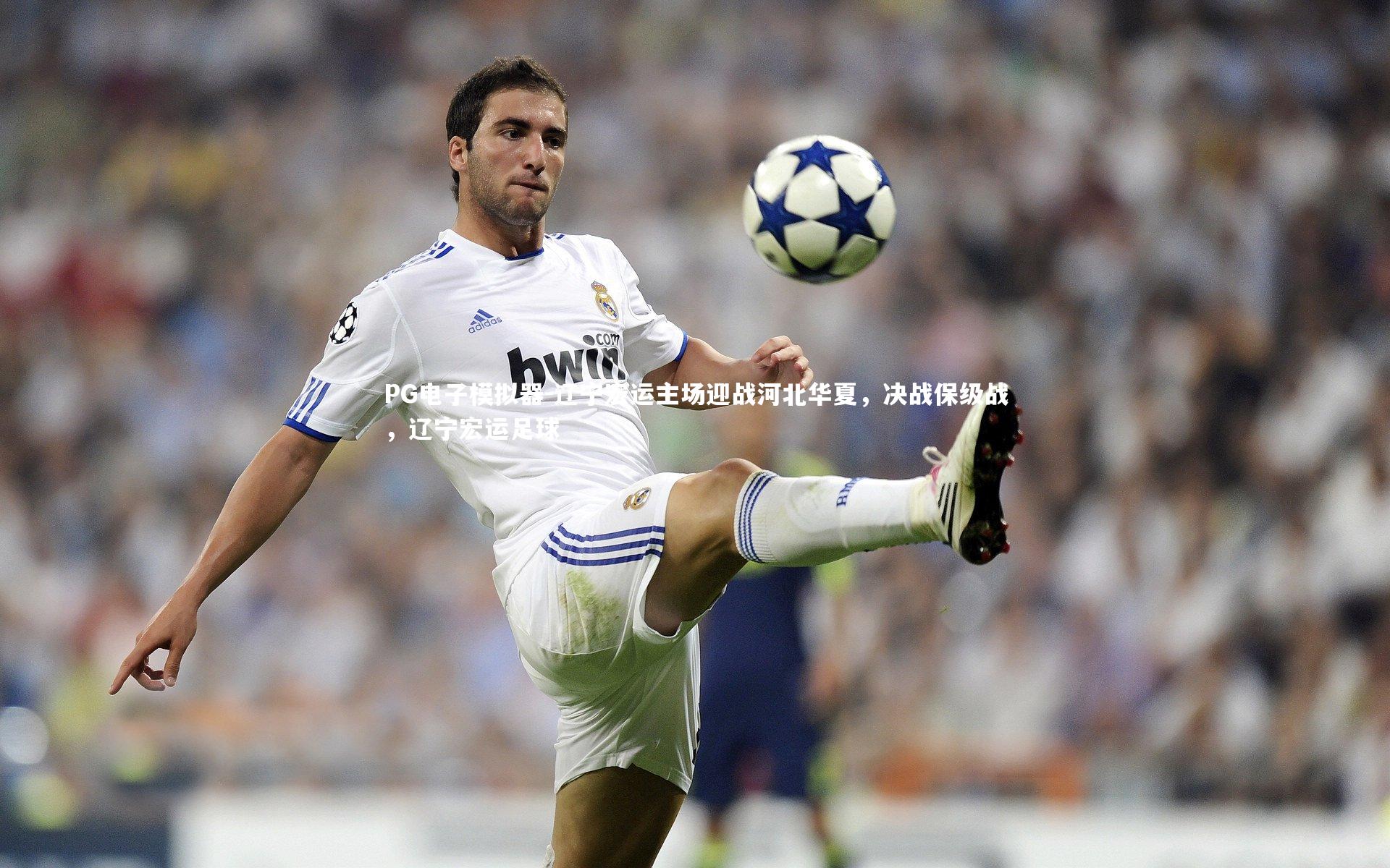 PG电子模拟器-辽宁宏运主场迎战河北华夏，决战保级战，辽宁宏运足球