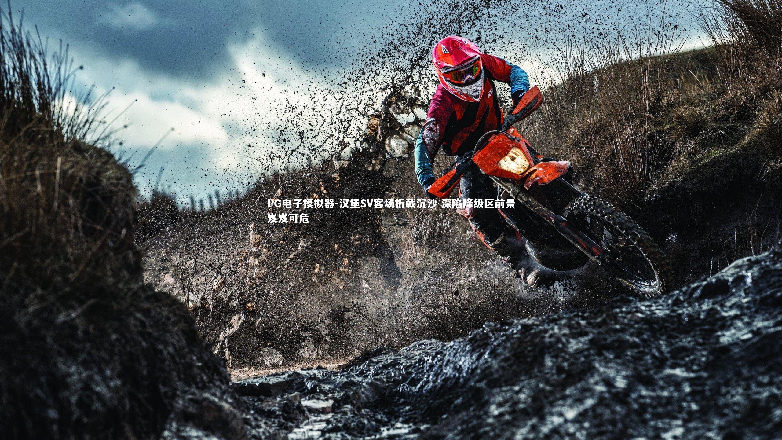 汉堡SV客场折戟沉沙 深陷降级区前景岌岌可危