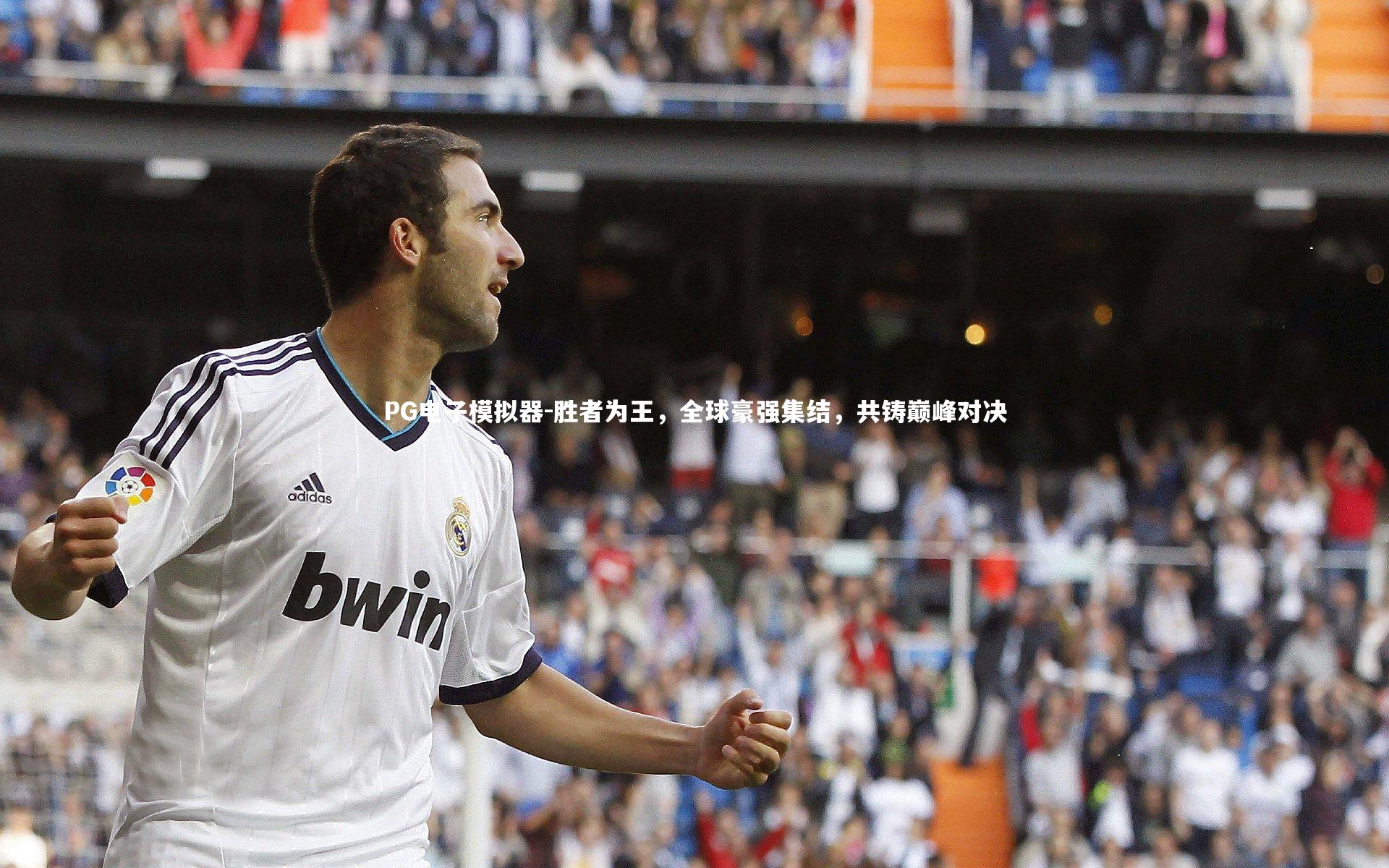 PG电子模拟器-胜者为王，全球豪强集结，共铸巅峰对决